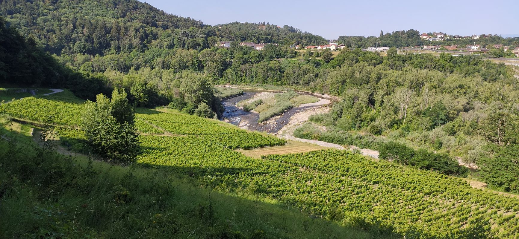 Boucle des vignes depuis Maxilly