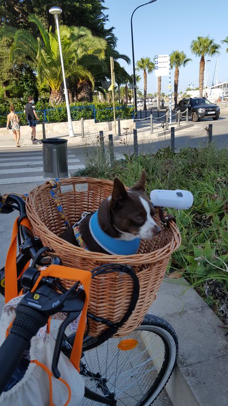 De Avinguda Constitució 2T, Sant Carles de la Ràpita à Paseo de las Palmeras 1, Alcanar