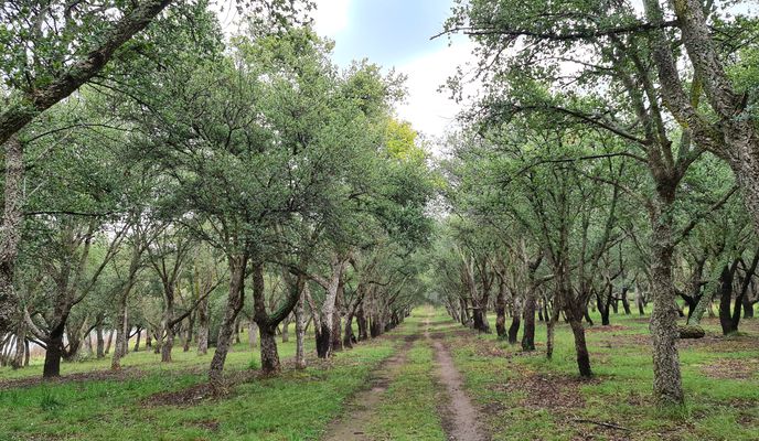 Photo 1 de l’itinéraire Bikemap « Allardyce Street 95, Barton to Lady Denman Drive 420, Molonglo Valley »