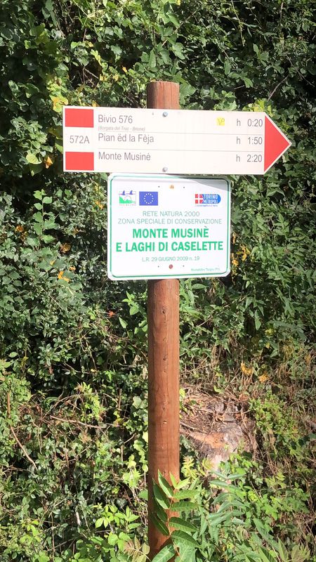 Steady ride in Monte Musiné e laghi casellette