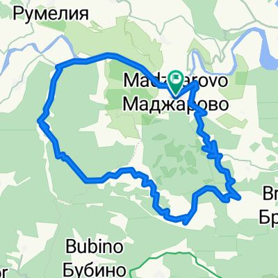 Маджарово - Черничино - Бряговец