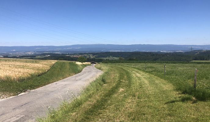 Foto 1 del percorso Bikemap "Wohlesee mit Mandugipfupouse"