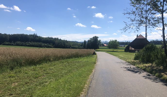 Foto 2 del percorso Bikemap "Wohlesee mit Mandugipfupouse"