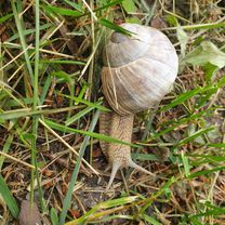 От Unnamed Road, Наваколасава до Улица Мира 10, Стоўбцы