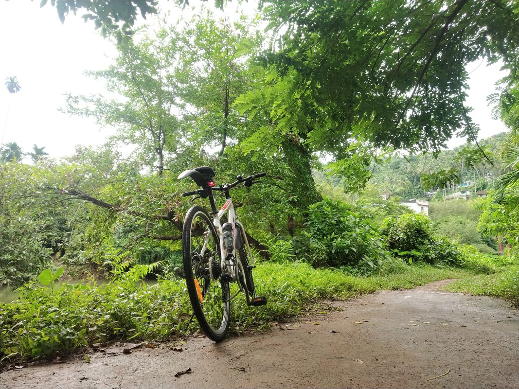 Cherinchal Road to Mooriyad Road, Kozhikode
