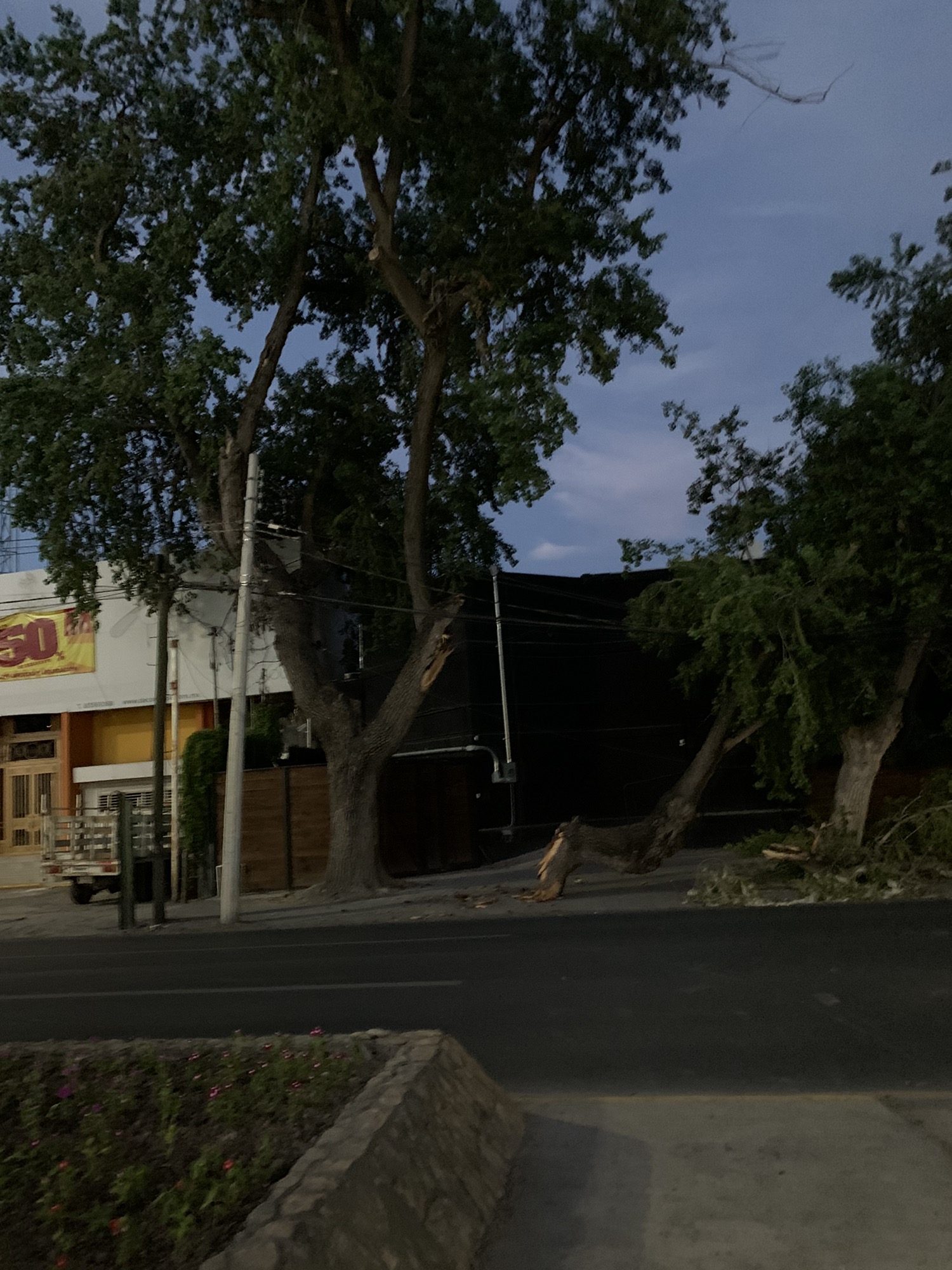 Restful route in Monterrey