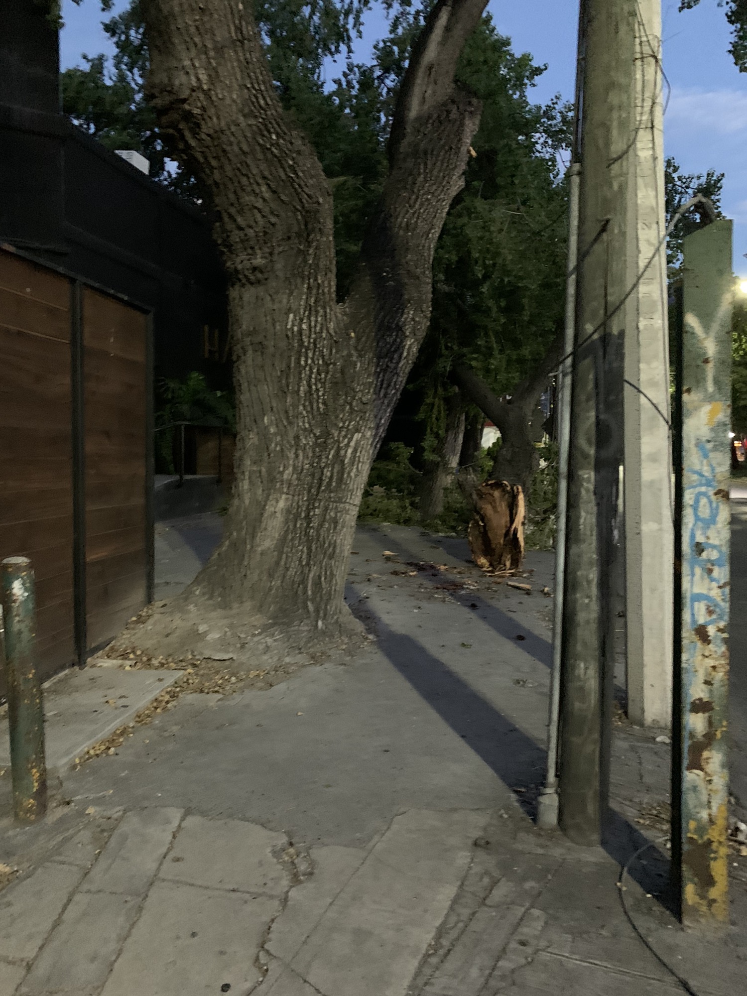 Restful route in Monterrey