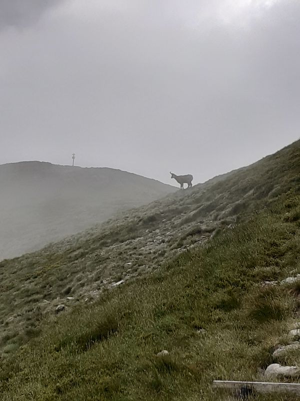 13.07.20 Kopa Kondracka