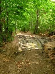 Highlight 9 along the Bikemap route "Baia Mare-Drum forestier(valea romana)-Cantonul Valcele{Firiza}-Baia Mare"