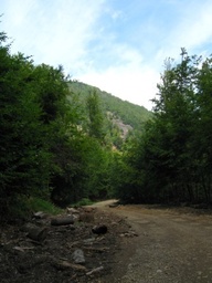 Highlight 2 along the Bikemap route "Baia Mare-Drum forestier(valea romana)-Cantonul Valcele{Firiza}-Baia Mare"