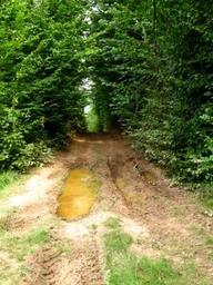 Highlight 10 along the Bikemap route "Baia Mare-Drum forestier(valea romana)-Cantonul Valcele{Firiza}-Baia Mare"