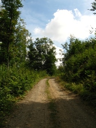 Highlight 3 along the Bikemap route "Baia Mare-Drum forestier(valea romana)-Cantonul Valcele{Firiza}-Baia Mare"