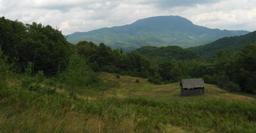 Highlight 8 along the Bikemap route "Baia Mare-Drum forestier(valea romana)-Cantonul Valcele{Firiza}-Baia Mare"
