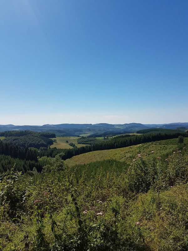 eslohe 1