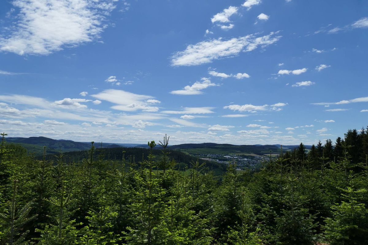 eslohe 1