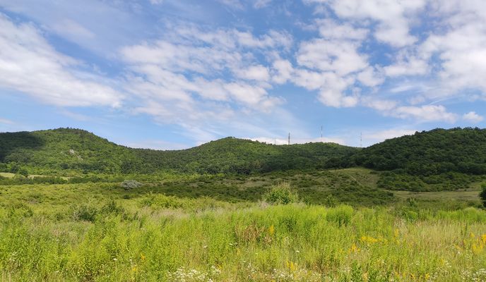 Photo 2 de l’itinéraire Bikemap « От Vörösvári út 107, Budapest до Március 15. tér 2, Budapest »