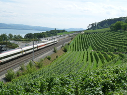 Hebe Bild 6 entlang der Bikemap-Route "Veloroute 50 Uferstrecke Neuchatel-Yverdon (Lac de Neuchatel)" hervor