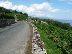 Hebe Bild 5 entlang der Bikemap-Route "Veloroute 50 Uferstrecke Neuchatel-Yverdon (Lac de Neuchatel)" hervor