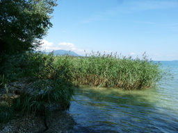 Hebe Bild 4 entlang der Bikemap-Route "Veloroute 50 Uferstrecke Neuchatel-Yverdon (Lac de Neuchatel)" hervor