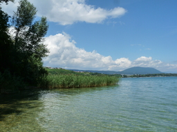 Hebe Bild 3 entlang der Bikemap-Route "Veloroute 50 Uferstrecke Neuchatel-Yverdon (Lac de Neuchatel)" hervor