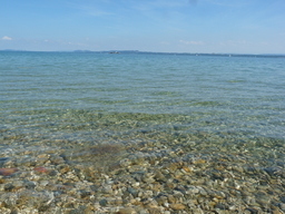 Hebe Bild 1 entlang der Bikemap-Route "Veloroute 50 Uferstrecke Neuchatel-Yverdon (Lac de Neuchatel)" hervor
