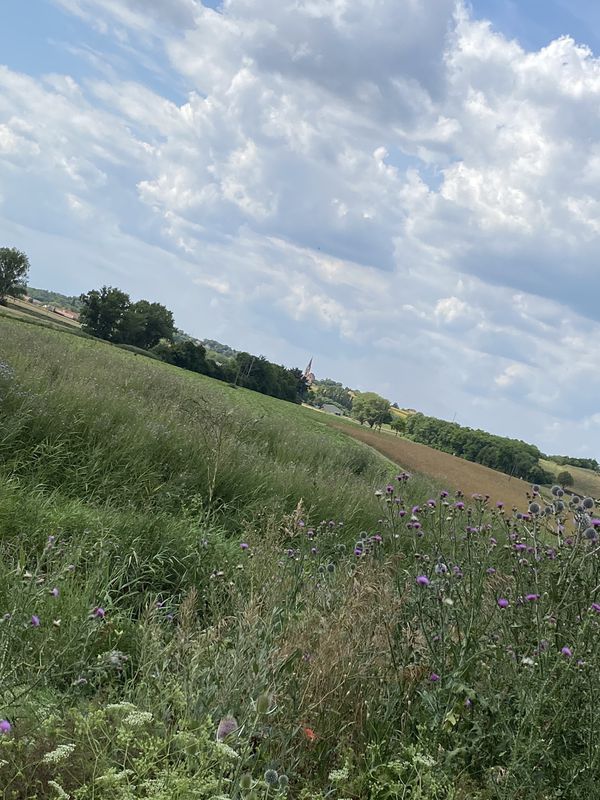 Easy ride in Katzelsdorf