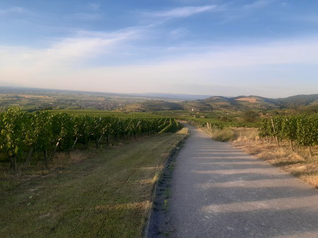 Traumroute Kaiserstuhl
