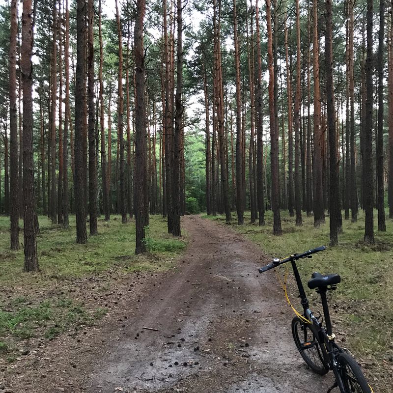 Restful route in Poraj