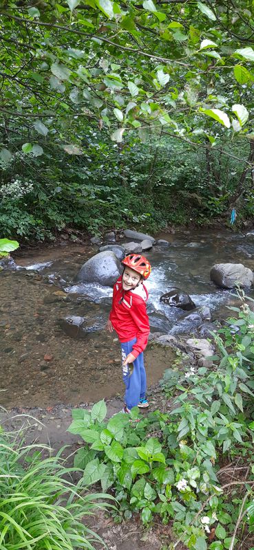 Strada Limpedea 80, Baia Mare to Strada Privighetorii 7, Baia Mare