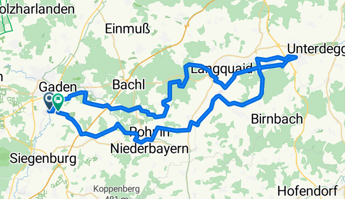 Schierling B15