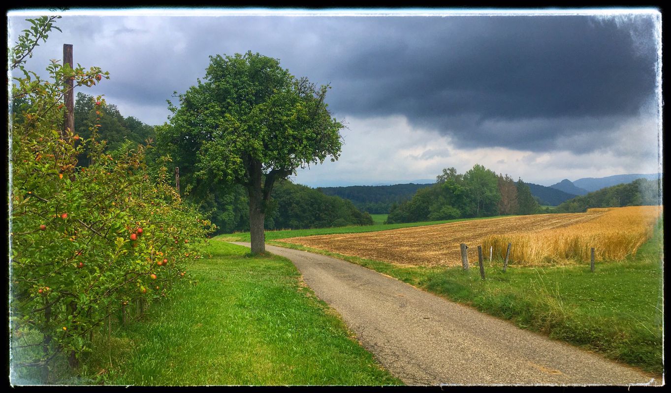 Kleine Runde: Kleinlützel-Huggerwald-Röschenz-Chall-Remel-Kleinlützel