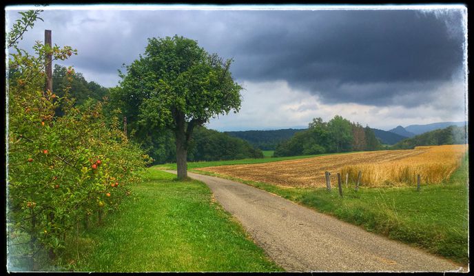 Photo 2 of the Bikemap route "Kleine Runde: Kleinlützel-Huggerwald-Röschenz-Chall-Remel-Kleinlützel"