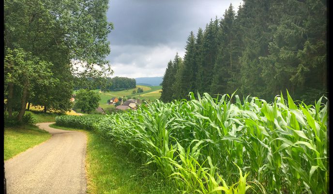 Photo 1 of the Bikemap route "Kleine Runde: Kleinlützel-Huggerwald-Röschenz-Chall-Remel-Kleinlützel"