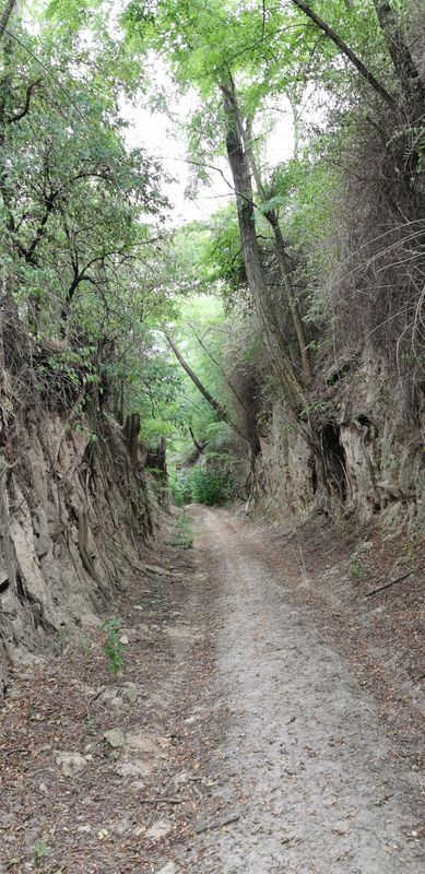 Purkhausergasse 152, Stillfried nach L11 3, Prottes