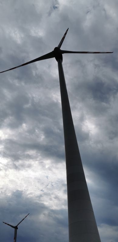 Purkhausergasse 152, Stillfried nach L11 3, Prottes