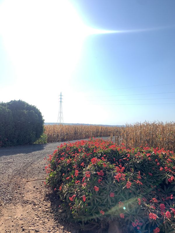 Moderate route in Sarandi