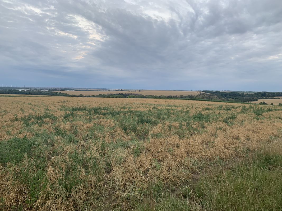 Relaxed route in Alsleben (Saale)