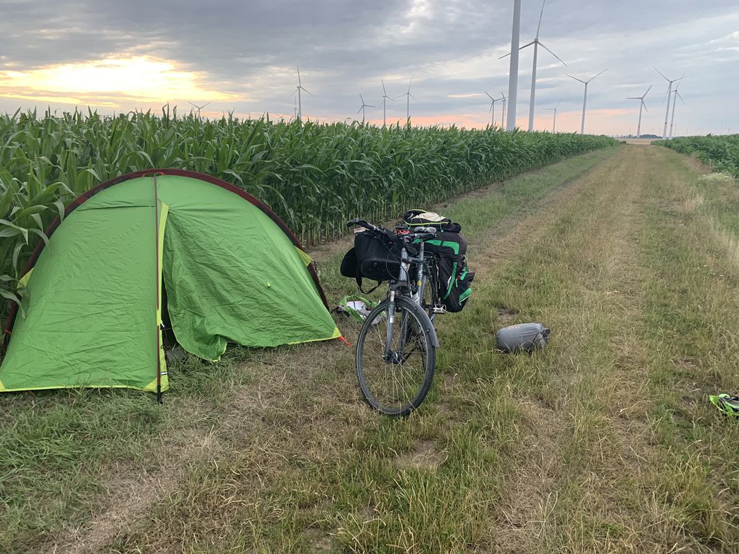 Relaxed route in Alsleben (Saale)