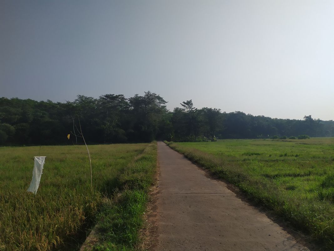 Jalan Gringsing - Kedawung, Kecamatan Gringsing to Jalan Gringsing - Kedawung, Kecamatan Gringsing