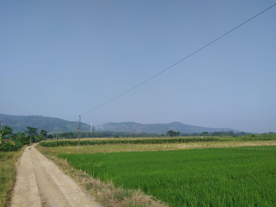 Jalan Gringsing - Kedawung, Kecamatan Gringsing to Jalan Gringsing - Kedawung, Kecamatan Gringsing
