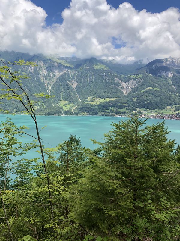 Hauptstrasse, Meiringen nach Jungfraustrasse 14, Thun