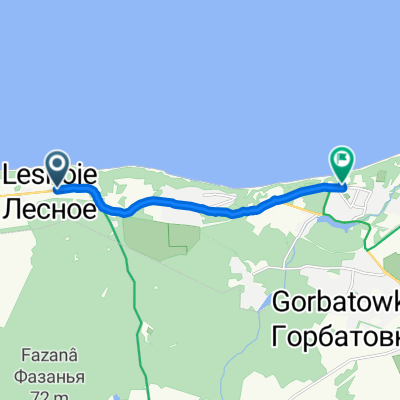 Steady ride in Светлогорск