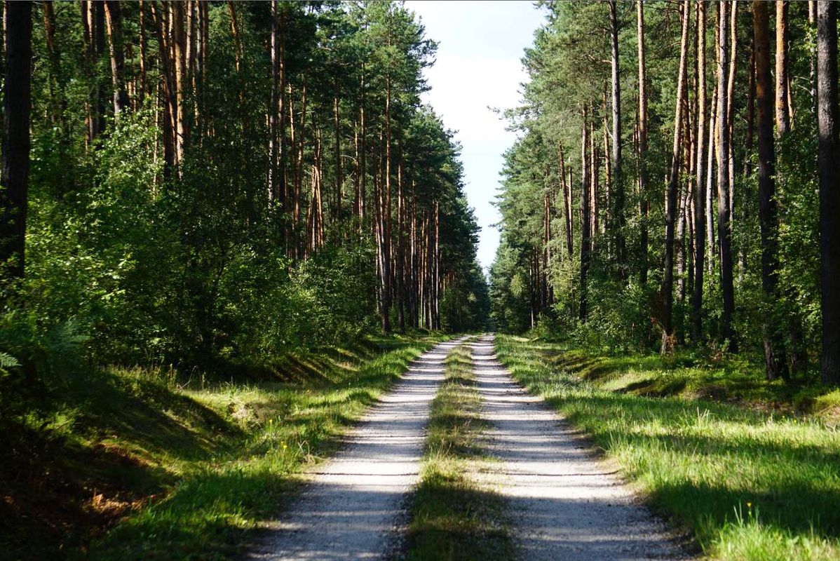 Piotrkowice