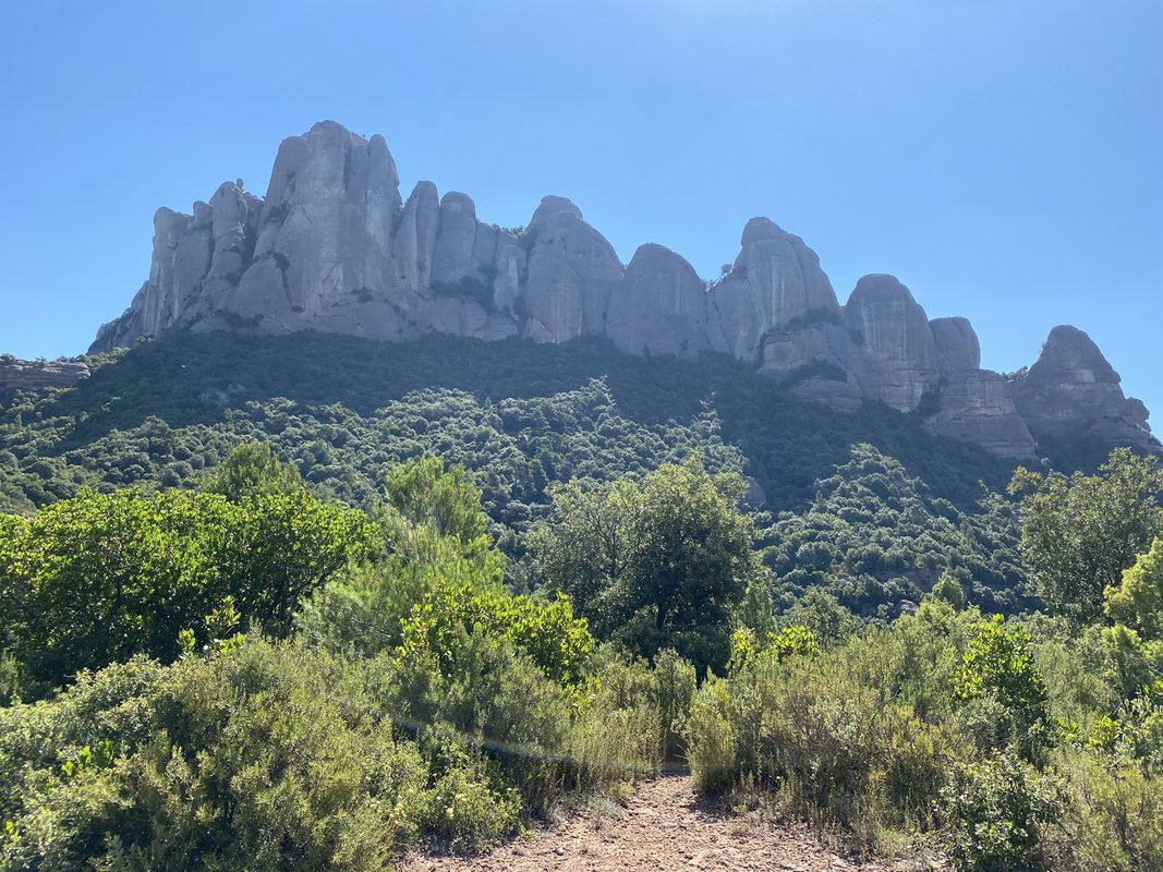 Paseo lento en El Pla del Penedès