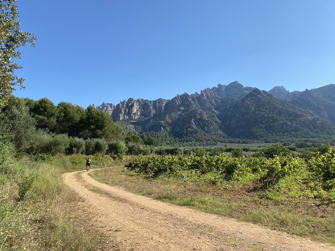 Paseo lento en El Pla del Penedès