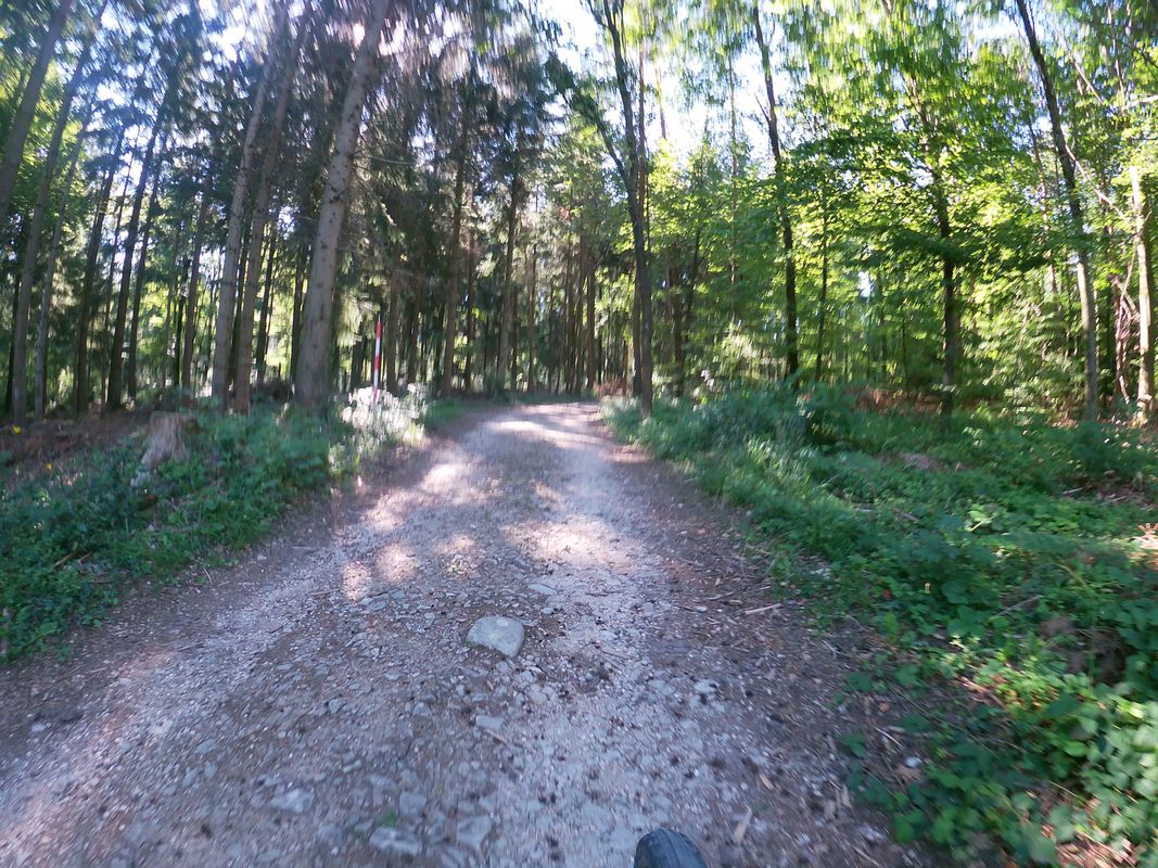 Lostorf,Küttigen, Aarau,Trimbach