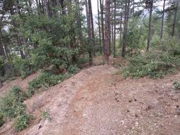 Hebe Bild 8 entlang der Bikemap-Route "Shortcut to/and the extreme downhill path" hervor