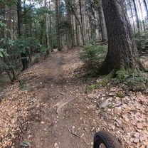 Foto 7 der Bikemap-Route "Marscheider MTB Zirkel 1" Foto 7 der Bikemap-Route "Marscheider MTB Zirkel 1"