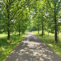 Bikepack tour délicieux