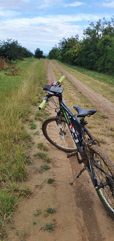 От Unnamed Road до 21, Ириг